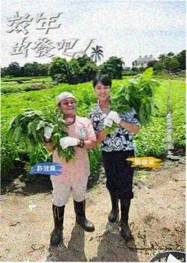 我独自生活 韩综在线观看